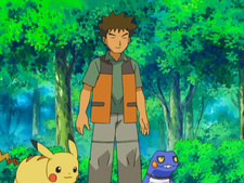 Pokemon Diamond & Pearl