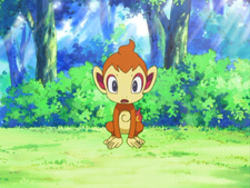 Pokemon Diamond & Pearl