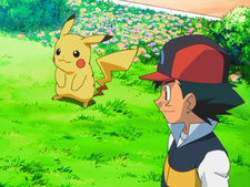 Pokemon Diamond & Pearl