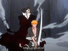 Bleach