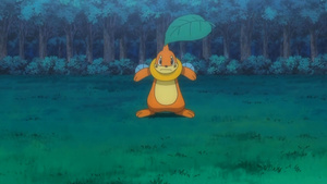 Pokemon Diamond & Pearl