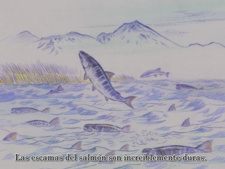 Taneyamagahara no Yoru