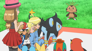 Pokemon XY