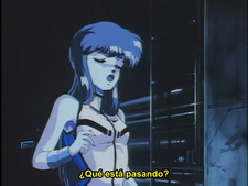 Haja Taisei Dangaiou