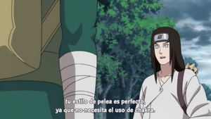 Gekijouban Naruto Shippuuden