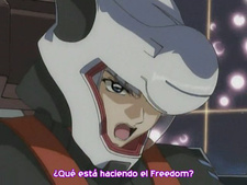 Mobile Suit Gundam SEED DESTINY Final Plus: The Chosen Future