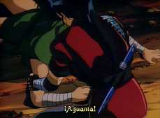 Sengoku Kitan Youtouden Soushuuhen