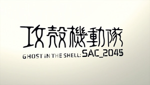 Ghost in the Shell: Stand Alone Complex 2045