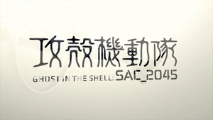 Ghost in the Shell: Stand Alone Complex 2045
