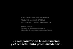 Tamala 2010 - A Punk Cat in Space