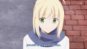 Emiya-san chi no kyou no gohan