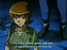 Mujintou Monogatari XX