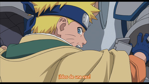 Naruto: Dai katsugeki! Yuki Hime Shinobu Hōjō Dattebayo!!