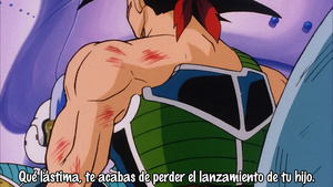 Dragon Ball Z Special 1: Tatta Hitori no Saishuu Kessen - Freezer ni Idonda Z Senshi Son Goku no Chi