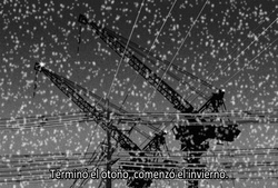 Kanojo to Kanojo no Neko