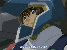Mobile Suit Gundam SEED DESTINY Final Plus: The Chosen Future