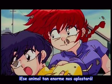 Ranma 1/2: Chou Musabetsu Kessen! Ranma Team VS Densetsu no Houou