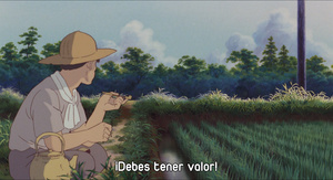 La tumba de las luciérnagas