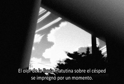 Kanojo to Kanojo no Neko