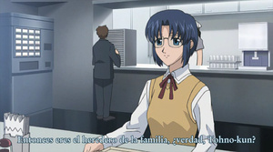 Shingetsutan Tsukihime