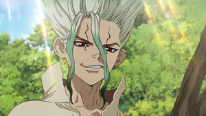 Dr. Stone