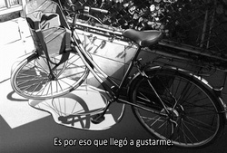 Kanojo to Kanojo no Neko