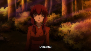 Basilisk: Ouka Ninpouchou