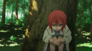 Mahoutsukai no Yome: Hoshi Matsu Hito