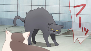 De yakuza amo de casa