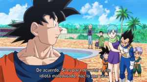 Dragon Ball Z: Kami to Kami