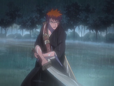 Bleach: Memories in the Rain