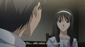 Shingetsutan Tsukihime