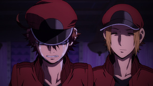 Hataraku Saibou Black (TV)