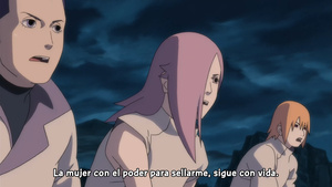 Gekijouban Naruto Shippuuden