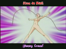 Lingerie Senshi Papillon Rose