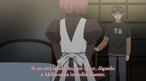 Shingetsutan Tsukihime