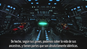 Waga Seishun no Arcadia