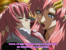 Mobile Suit Gundam SEED DESTINY Final Plus: The Chosen Future