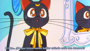 Bishoujo Senshi Sailor Moon S: Kaguya Hime no Koibito