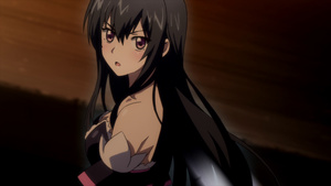 Ulysses: Jehanne Darc to Renkin no Kishi