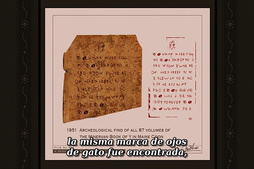 Tamala 2010 - A Punk Cat in Space