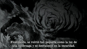 Fantascope Tylostoma