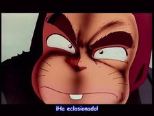 Ranma 1/2: Chou Musabetsu Kessen! Ranma Team VS Densetsu no Houou