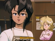Gunsmith Cats