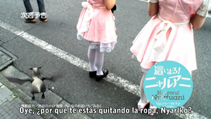 Haiyoru! Nyaruani Remember My Love (Craft-sensei)