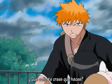Bleach: Memories in the Rain
