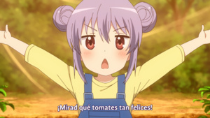 Non Non Biyori Nonstop