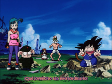 Dragon Ball - Película 1: La leyenda de Shenron