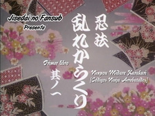 Ninpou Midare Karakuri (La chica ninja)