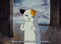 Cello Hiki no Gauche